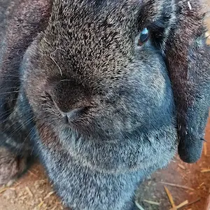 Sarafina Posing