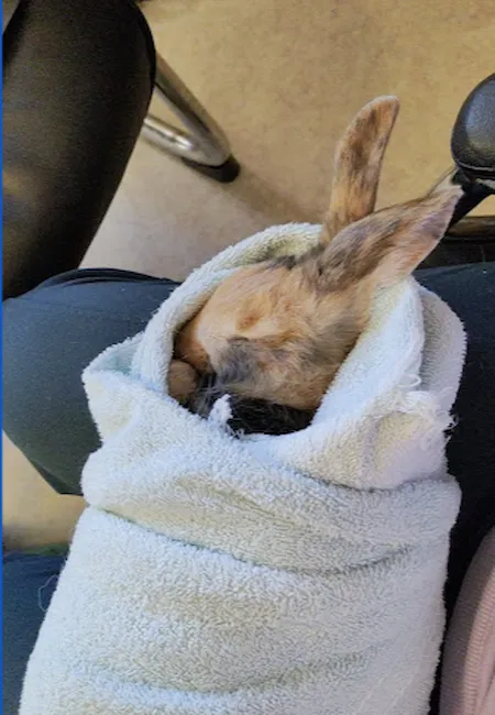 Image of Reginald at Dr. McGuires.