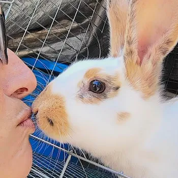 Image of a rhinelander kit giving me a kiss.