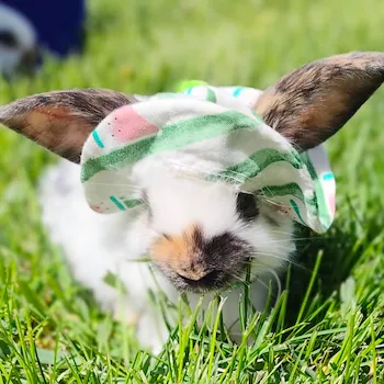Image of a Rhinelander kit in a sunhat.